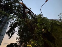 Setelah Badai Mengguncang Jakarta