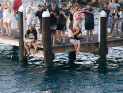 Tourists rush to Aussie shores for rare celestial event: ‘People were running’