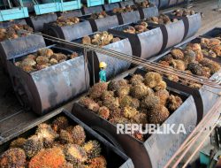 Paspi Dukung BPDP Dana 400 Penelitian Sawit