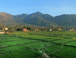 Puncak dan Surakarta Jadi Tujuan Liburan Favorit Akhir Pekan