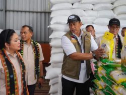 Bulog Distribusikan 1,37 Juta Liter Minyakita ke NTT