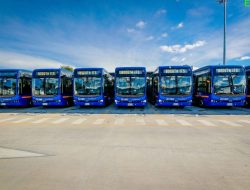 Electric Bus Revolution by 2029