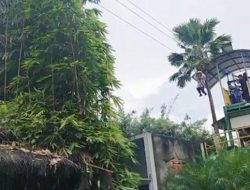 Wisata Kalsel: Bermain Sambil Belajar di Taman Anak Landasan Ulin Banjarbaru