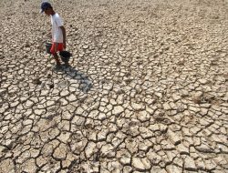 Waspadai Kekeringan, BPBD Tasikmalaya Prediksi Dampak El Nino Mulai Mei 2026