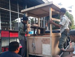 Lapak dan Gerobak di Sekitar Kampus UNRI Gobah Dibongkar Satpol PP