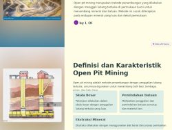Temuan Investigasi: Jam Kerja Myta di RSUD Tanjabbar Jambi Pukul 08.00-20.00 WIB