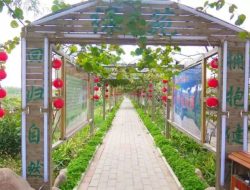 Tunggakan PBB Bangka Capai Rp13 Miliar, Pemkab Beri Diskon 75 Persen