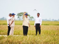 Prabowo: Indonesia Lebih Dihormati Berkat Swasembada Pangan