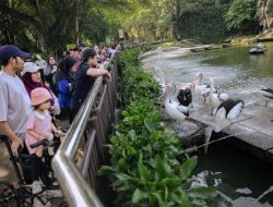 15 Ribu Pengunjung Penuhi Ragunan, Prediksi Capai 30 Ribu Saat Libur Panjang