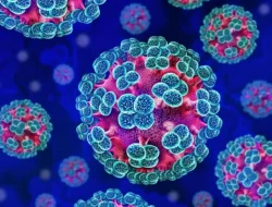 Dua Kasus Suspek Hantavirus di Indonesia, Ini Cara Cegah Tertular