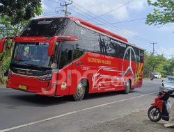Jadwal & Harga Tiket Bus AKAP Bali ke Jawa Minggu (17/5), Cek Sekarang!