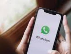 WhatsApp uji coba fitur pesan menghilang setelah dibaca