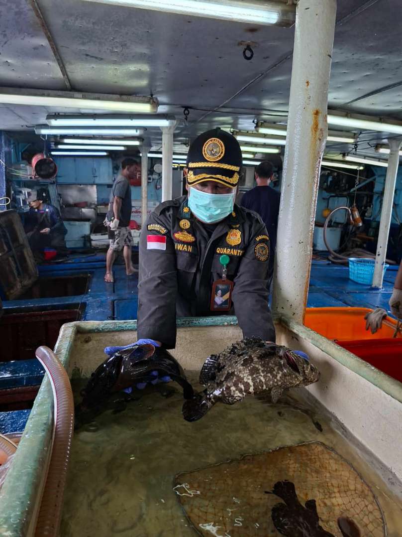 Ikan Natuna ke Hongkong