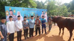 Hewan Kurban Polda Kepri