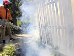Cegah DBD dengan Fogging di Krangkeng