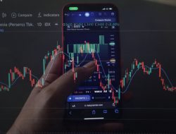 12 Saham Konsentrasi Tinggi: MGRO Hingga LUCY Terbaru