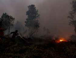 Sumatra Membara: Ancaman Karhutla 2019 Kembali Mengintai