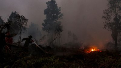 Sumatra Membara: Ancaman Karhutla 2019 Kembali Mengintai