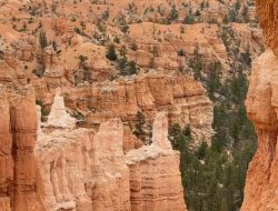 Pesona Bryce Canyon: Jerome Polin Terpana