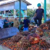 Wabup Rohul Sidak PKS: Harga TBS Sawit di Bawah Ketetapan Pemprov Riau