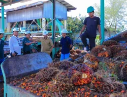 Wabup Rohul Sidak PKS: Harga TBS Sawit di Bawah Ketetapan Pemprov Riau