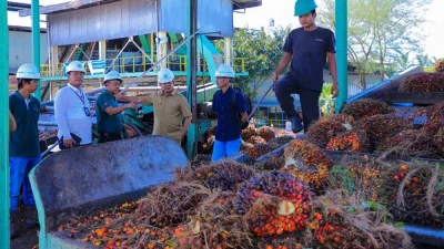 Wabup Rohul Sidak PKS: Harga TBS Sawit di Bawah Ketetapan Pemprov Riau