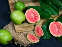 Jus Jambu Biji: Senjata Ampuh Lawan Anemia