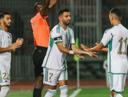 Belanda vs Aljazair: Prediksi, Head-to-Head & Statistik Laga Uji Coba