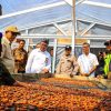 Kemensos Berdayakan Ratusan Petani Kakao Ende