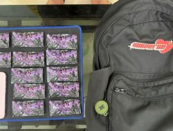 Etomidate: Zat Vape yang Muncul ke Permukaan