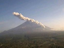 Semeru Bergemuruh: 583 Letusan dalam Sepekan