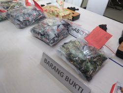 Sepekan, Polisi Ungkap 10 Kasus Narkoba di Kepri: 928 Vape Etomidate hingga Sabu Disita