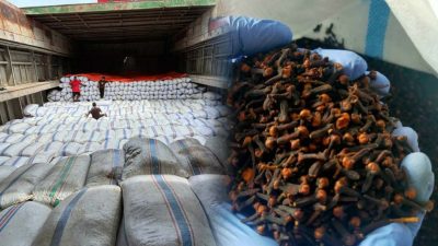 Karantina Kepri: 188,7 Ton Cengkeh Natuna yang Dikirim ke Semarang Bebas Hama