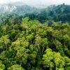 Hutan Lindung Kuansing Kembali Dirusak PETI, Air Sumur Warga Menghitam