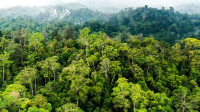 Hutan Lindung Kuansing Kembali Dirusak PETI, Air Sumur Warga Menghitam
