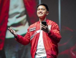 Profil PT PMMP, Perusahaan Kaesang yang Utang Rp2,88 Triliun, Banyak Staf Di-PHK