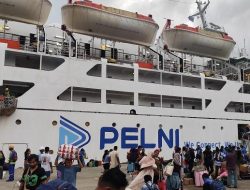 Tiket hanya Rp88.200 jadwal kapal Pelni Kalabahi-Kupang Juli 2026: Ada KM Awu dan Wilis