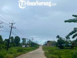 Kota Sorong berawan, Tambrauw hujan ringan, prakiraan cuaca Papua Barat Daya Selasa 30 Juni 2026
