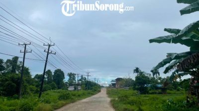 Kota Sorong berawan, Tambrauw hujan ringan, prakiraan cuaca Papua Barat Daya Selasa 30 Juni 2026