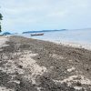 Hamparan batu apung tutupi pasir putih Pulau Liki, terbawa ombak dan menumpuk di bibir pantai