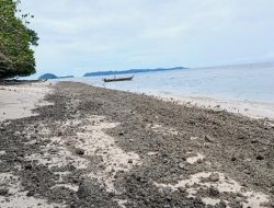 Hamparan batu apung tutupi pasir putih Pulau Liki, terbawa ombak dan menumpuk di bibir pantai