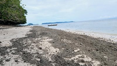 Hamparan batu apung tutupi pasir putih Pulau Liki, terbawa ombak dan menumpuk di bibir pantai