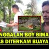 Boy Simamora Tidak Tewas Diterkam Buaya, Siapa Pembunuhnya?