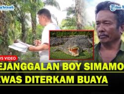 Boy Simamora Tidak Tewas Diterkam Buaya, Siapa Pembunuhnya?