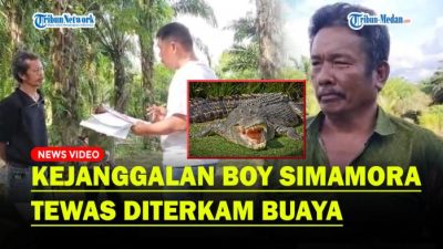 Boy Simamora Tidak Tewas Diterkam Buaya, Siapa Pembunuhnya?