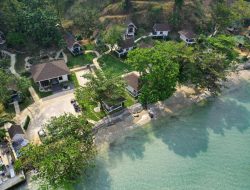 Investigasi 4 Perusahaan, Karhutla di Kalimantan Diduga Sengaja Dilakukan?