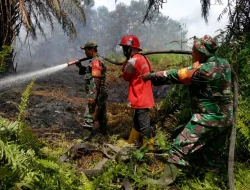 Atasi Karhutla Kalimantan, Kemenhub Izinkan 35 Pesawat Asing Masuk Indonesia