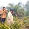 Masyarakat Diminta Tetap Tenang Hadapi Ancaman Karhutla, Pemerintah Diminta Bersikap Tegas