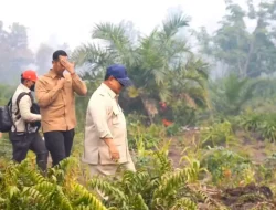Masyarakat Diminta Tetap Tenang Hadapi Ancaman Karhutla, Pemerintah Diminta Bersikap Tegas