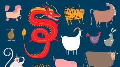 Shio Paling Beruntung dalam Astrologi Tiongkok